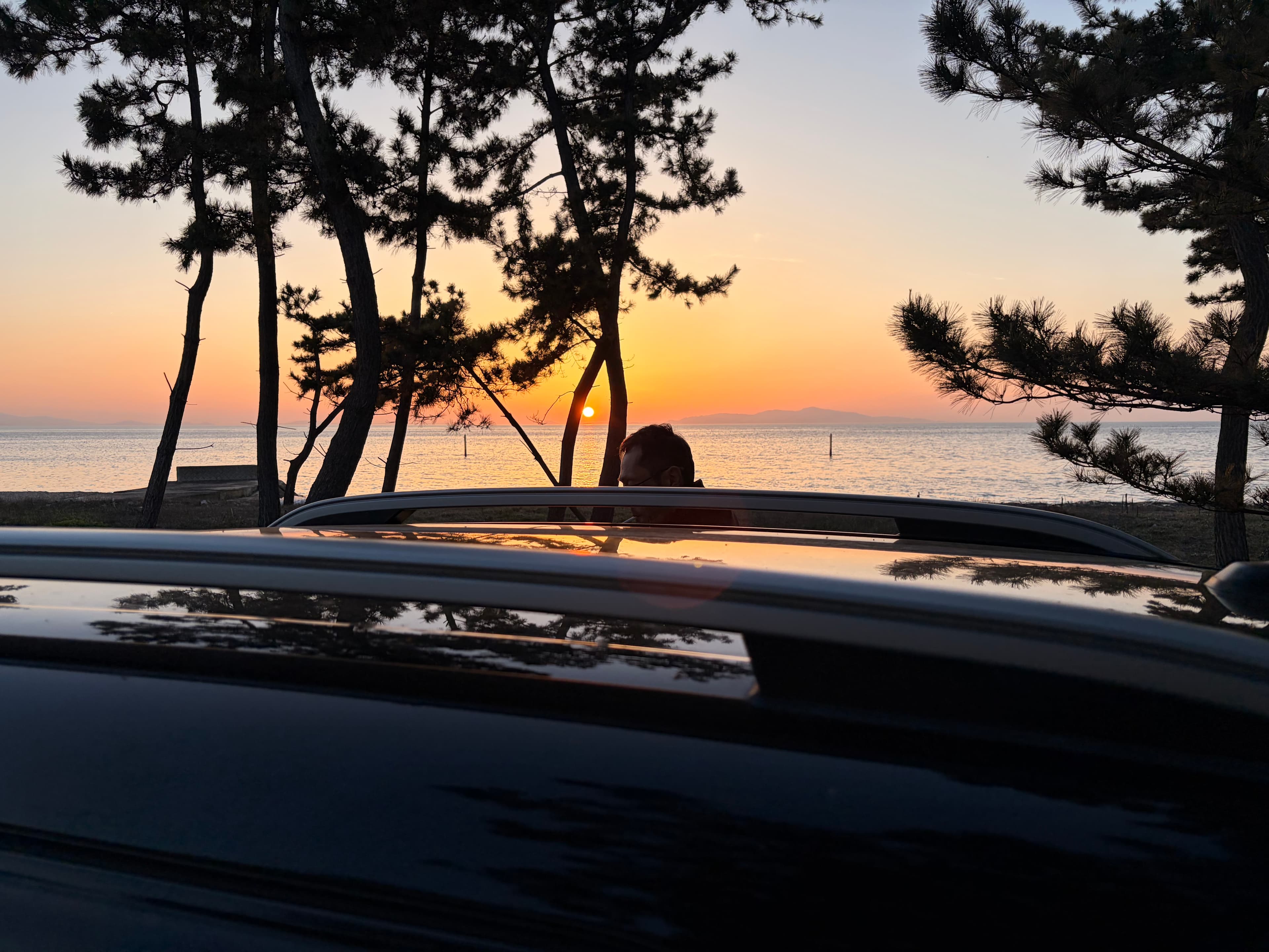 松林の夕焼け